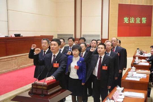 四川省第十三届人民代表大会常务委员会代表资格审查委员会成员宣誓