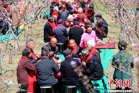 桃花林里老人品尝长寿宴 王中举 摄