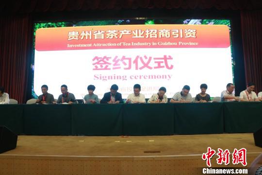 第三届国际茶叶采购商大会 现场签约46亿