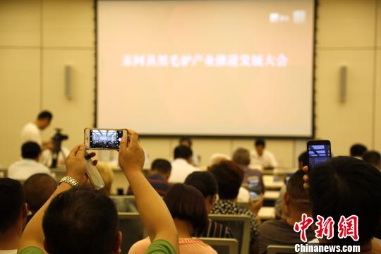 6月19日晚,山东省东阿县60个养驴户与东阿阿胶黑毛驴养殖技术专业人员签订了“一对一帮扶”协议。帮扶人员将为养殖户提供繁殖及应用、疾病诊疗、饲养管理等技术培训,一对一进行技术与管理双向帮扶, 王建鹏 摄