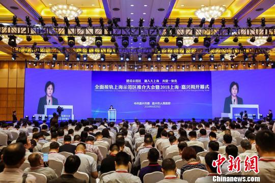 2018上海·嘉兴周开幕 两地加快推进产业、创