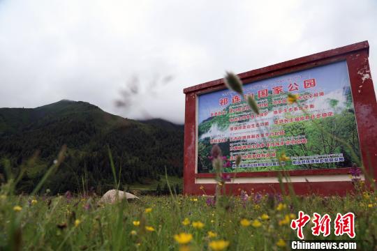 图为祁连山国家公园(青海片区)内设置的标识牌。 罗云鹏 摄