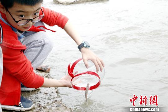 图为一名儿童增殖放流湟鱼种苗。 张添福 摄