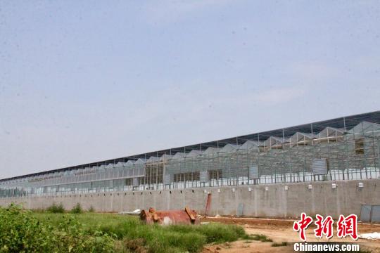 山东章丘养殖蟑螂吃餐厨垃圾:设置三重防逃逸