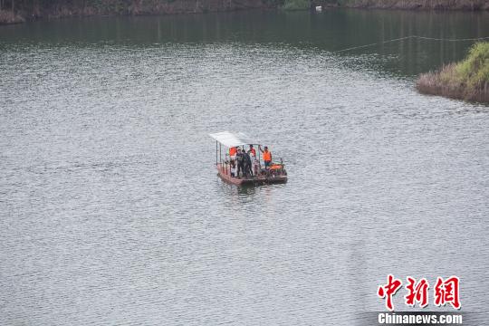 图为搜救现场。 陈冠言 摄 广西南宁沉船事件续:失联3人全部找到 共致5死