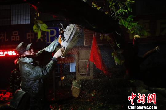 武警切割树木枝干。 潘桂添 摄 广东武警抗击超强台风“山竹” 转移民众3000余名