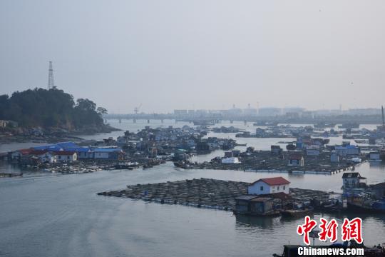 碳九泄漏事件发生后,肖厝码头显得冷清。 陈龙山 摄 碳九泄漏事件发生后,肖厝码头显得冷清。陈龙山 摄