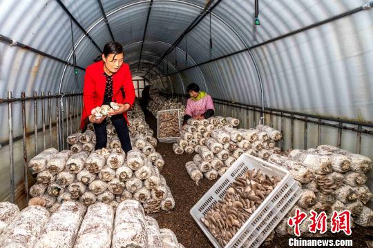 澳门新濠集团主席 - 瑞安房地产:2.25亿美元优先可换股证券的换股价下调为2.58港元/股