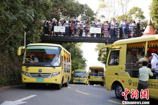 热带天堂森林旅游区山顶公园站俨然成了人流量集中的交通枢纽。 王晓斌 摄