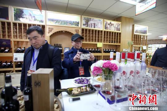 海外華文媒體代表參觀摩爾多瓦國家館。 王磊 攝