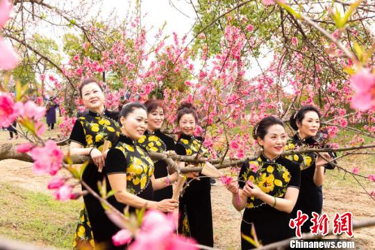 着美丽旗袍和桃花争艳。(何刚/摄)
