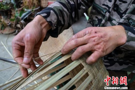 竹编是个“危险活”,张君明的手上有很多伤口,右眼也被篾条划伤过,但他从未想过放弃。 李董 摄