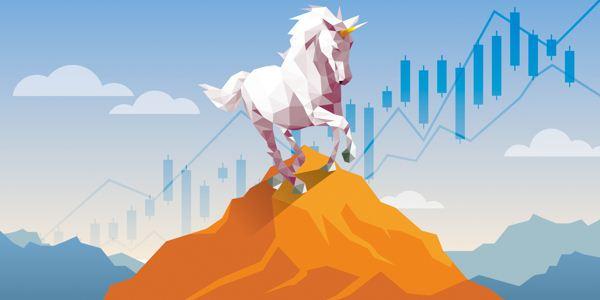 独角兽探秘系列报道: 什么支撑起它们的高估