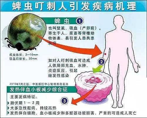 实用防虫手册来了