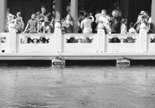 ���±��ǡ����괴1951��������ɽ�����̽�����ʷ��߼�¼