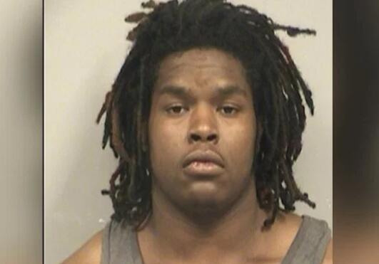 �ӷ�����ɭ��ͼԴ���ܿ�ѷ�ؾ����칫�ң�