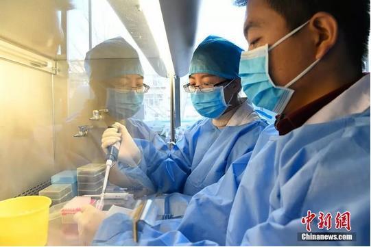 资料图：山西省太原市疾控中心，微生物检验人员检测医院送来的样本。韦亮 摄