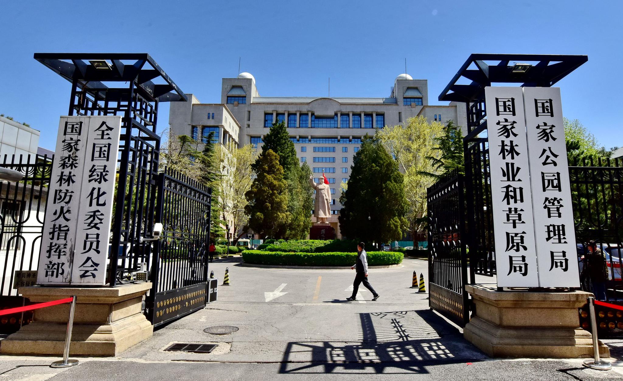 涉林违法犯罪屡禁不止 100起案件被挂牌督办