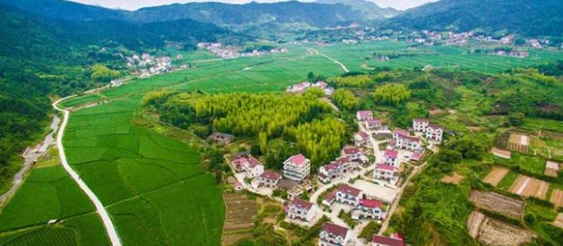 三门峡这些乡镇厉害了,入选河南乡村振兴示范