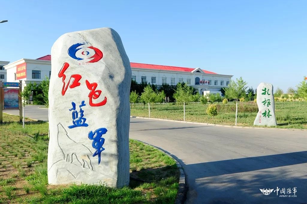 扎根大漠百炼成钢!看大漠绿洲如何留住草原狼