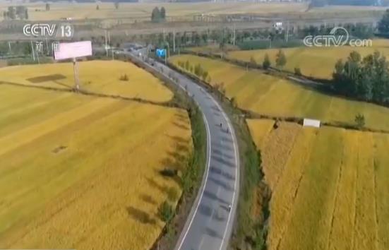 各地多姿多彩欢度假日