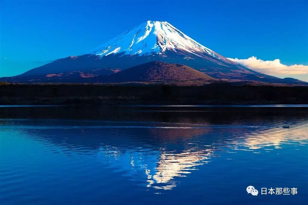 公然的性骚扰？ 日本综艺节目真是尺度大