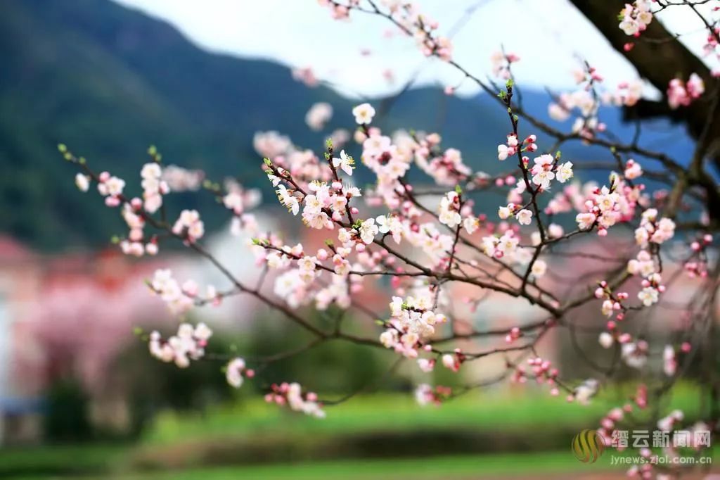 文化和旅游部正式挂牌，网友：诗和远方终于在一起了！