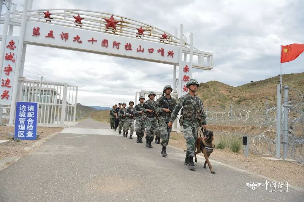 Google上突发舆情怎么办？支点五位一体舆情管理