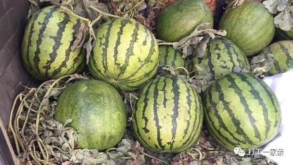 我夏天摆摊卖西瓜,每天瞎折腾,东奔西跑,但很赚