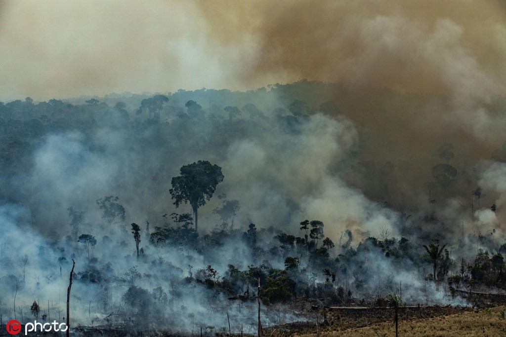 巴西4万多士兵赴亚马逊雨林灭火 特朗普称可帮忙