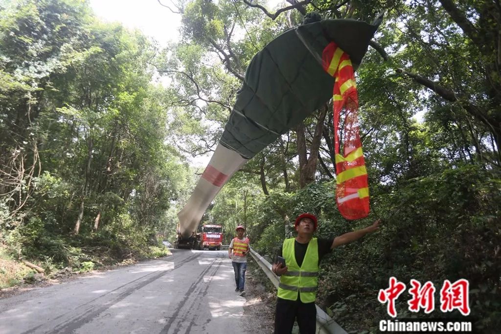 「亚博竞技怎么下载」牛蛙品种特点及介绍