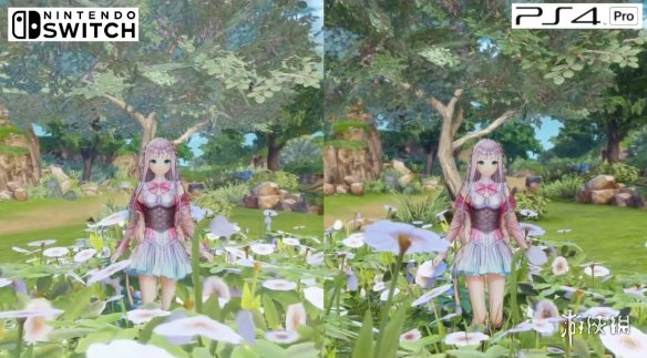 ¶¶ǵĹңµʿ4 PS4NSԱ Switchų