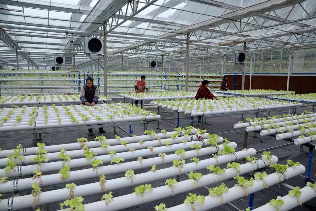 国家权威发布!关心云南农村发展的速看!2018年