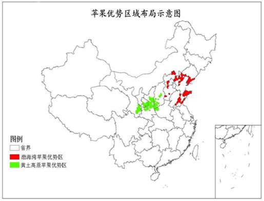 百姓彩票环球农业讲堂丨品果：花牛苹果