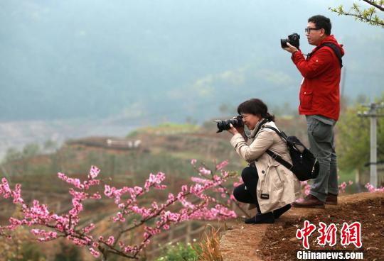海外华文媒体感受川北地区发展巨变 体验青山绿水生态旅游