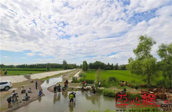 央视远方的童谣栏目进博乐市开拍