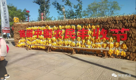 оٰף׽ йũսڡϵл