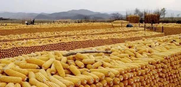 豪庭娱乐场值得信赖,扶余人不是韩国人的祖宗,他们是第一个在中国东北建立政权的民族