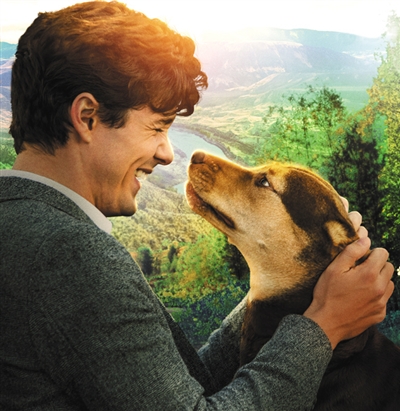 狗年最后一部“狗片”最有黑马相