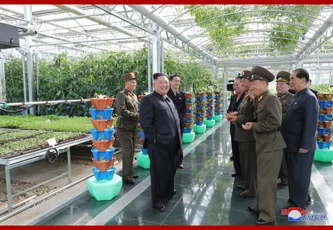 金正恩视察农场(朝中社)