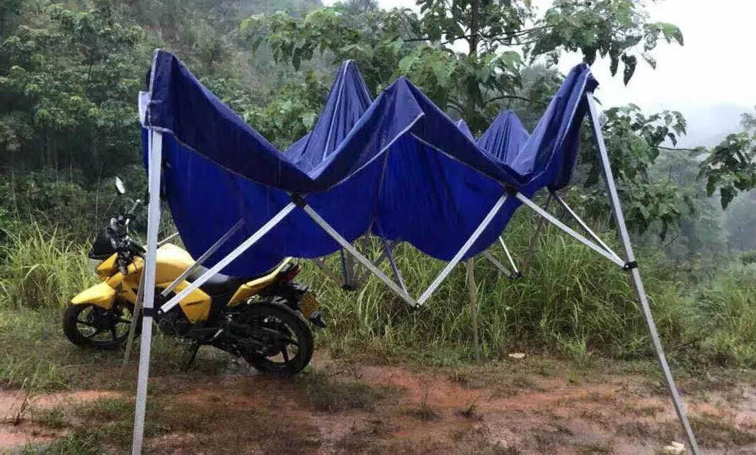 10多名男女半夜躲进山里偷偷干这事!原来他们... 10多名男女半夜躲进山里偷偷干这事!原来他们...