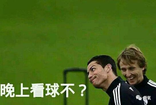 世界杯捧红这位神似张柏芝的央视第一美人