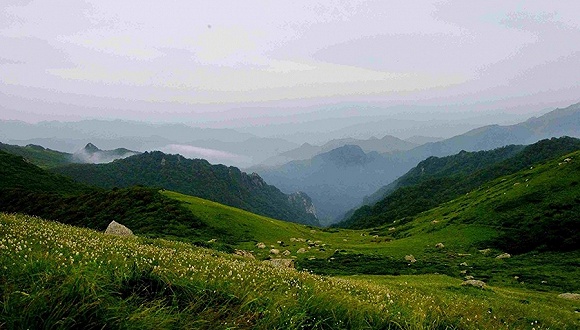 汉中人口有多_汉中湿地公园有多宽(3)