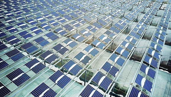 图片来源:视觉中国