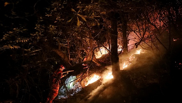 四川凉山州木里县发生森林火灾,有扑火人员失联