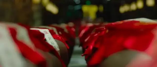 心“宿”春天,情“迁”一周的春色惊喜~