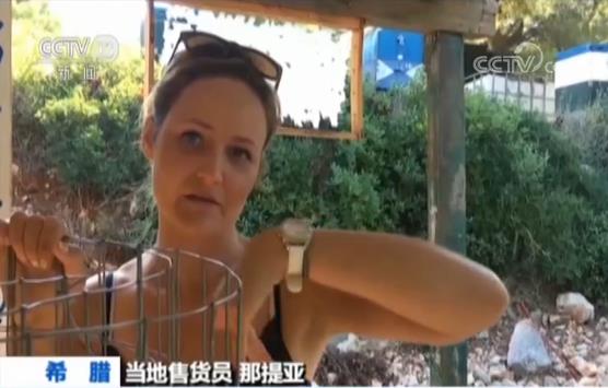 希腊专家呼吁全面关闭沉船湾景点