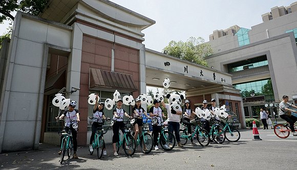 青桔单车在成都的推广活动。图片来源：青桔单车官方微博