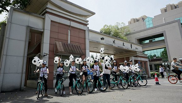 青桔单车在成都的推广活动。图片来源:青桔单车官方微博
