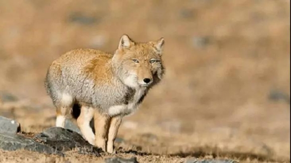 ˭˵���Ⱦ����Ըеģ���������վ����¶�����Ⱥ�